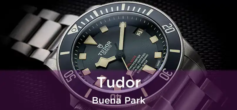  Tudor Buena Park